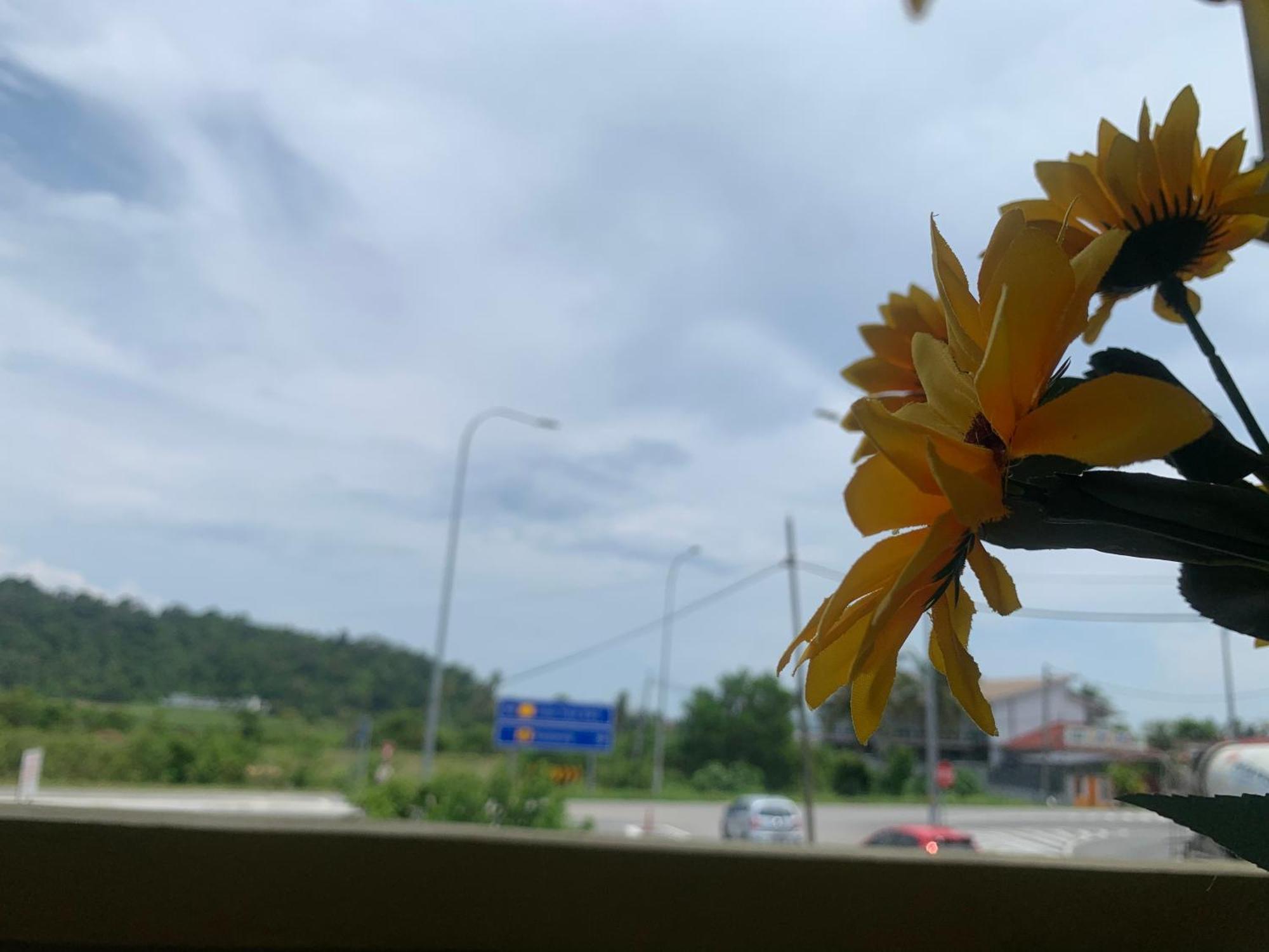 Maze Roomstay Langkawi 珍南海滩 外观 照片